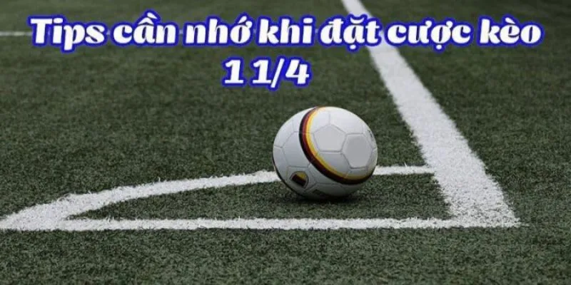 Kèo chấp 1 1/4 là gì?
